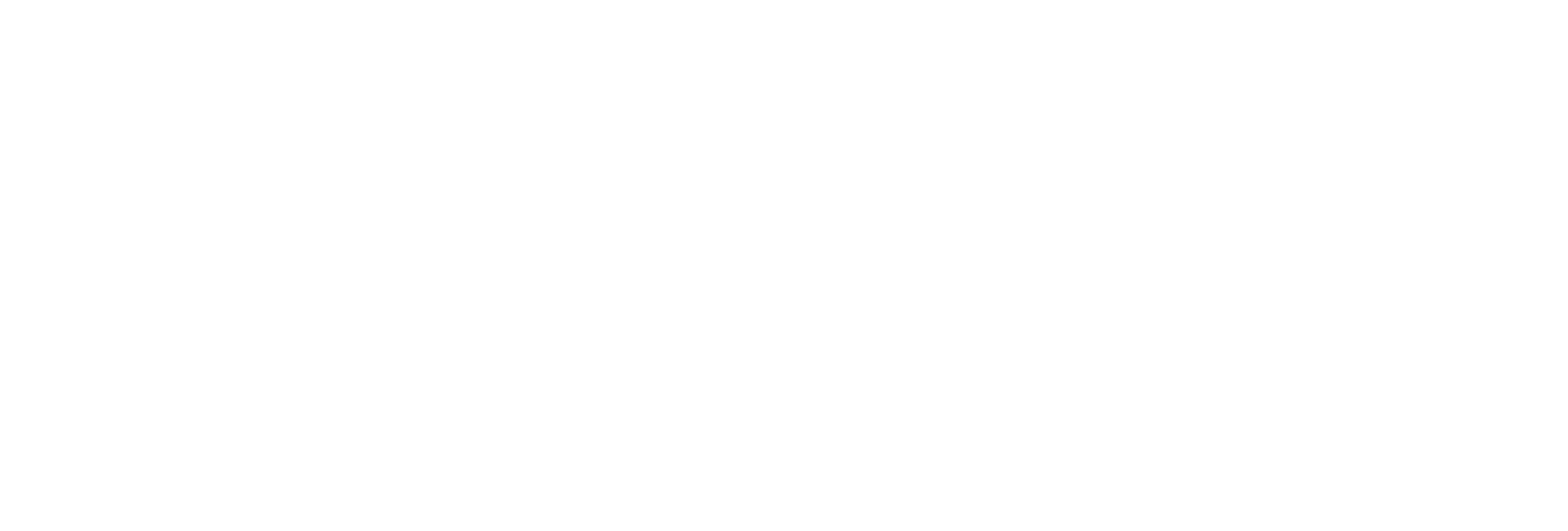 Logo wex_horizontal blanco